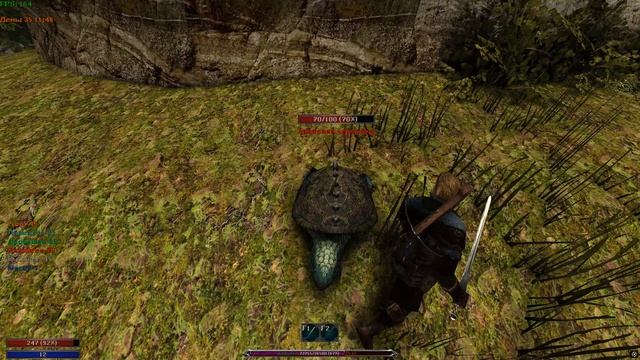 Грязевая черепаха