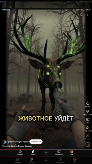 SVID_20251015_094747_1.mp4