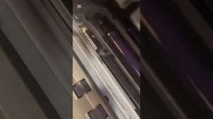 Цветной Xerox phaser 7500