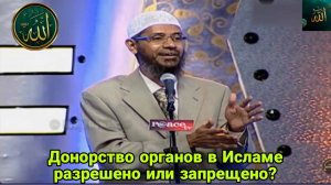 Закир Найк. Донорство органов в Исламе разрешено или запрещено?