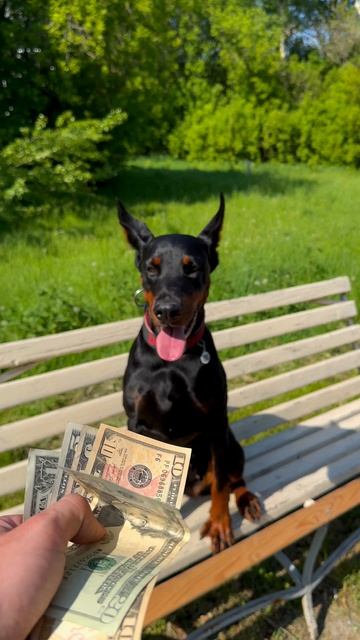 Милаха? 🥹 смотреть онлайн