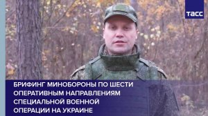 Брифинг Минобороны по шести оперативным направлениям специальной военной операции на Украине