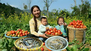 Собираю помидоры, ловлю рыбу, для продажи на рынке. Жизнь во Вьетнаме