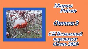 СП "Вязальный переполох. Осень 2025" / Отчет 3