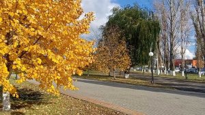 Золотая осень! 2025 год