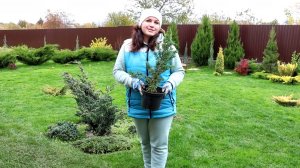 НАШЛА МОЖЖЕВЕЛЬНИК "БЛЮ КОМПАКТ". ТЕПЕРЬ КРУГ ТАКОЙ КАК Я ХОТЕЛА. 15. 10.2025г.