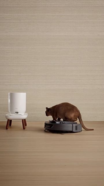 Когда важен комфорт каждого. смотреть онлайн