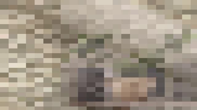 Marburg Okan смотреть онлайн