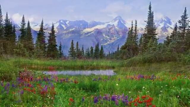 Видео. Сергей Чекалин. На просторах. Музыка для Души. смотреть онлайн