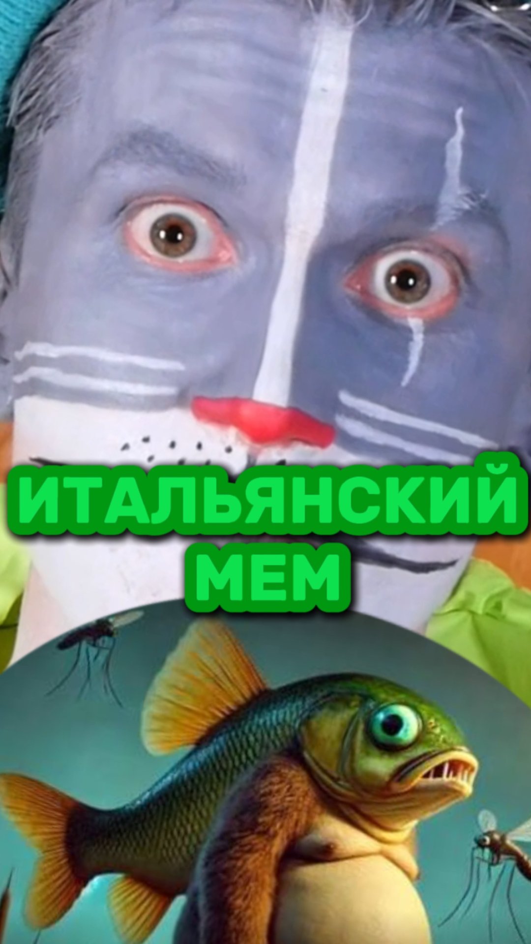 Кот Учёный и Итальянский мем 🐻 смотреть онлайн