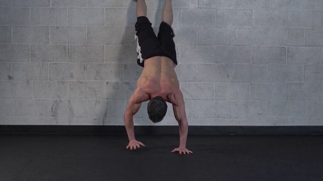 33-06 XERO Wall Walks