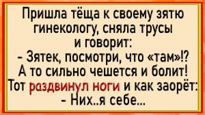 Как теща МОХНАТКУ показала! Сборник свежих анекдотов! Юмор!