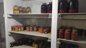 Погреб своими руками. Вход из дома.