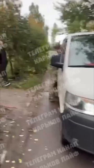 telegram-cloud-document-2-5433835500110646485 смотреть онлайн