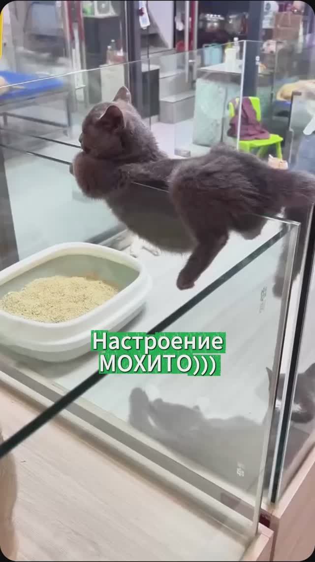 ПОД НАСТРОЕНИЕ))) смотреть онлайн