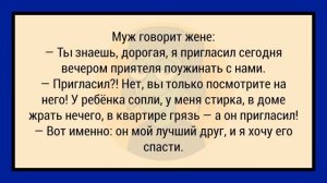 Как Жена Помыла Мужа Собачьим Шампунем! Сборник Анекдотов №12 Юмор