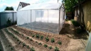 Пять весомых причин снимать пленку с теплицы на зиму.