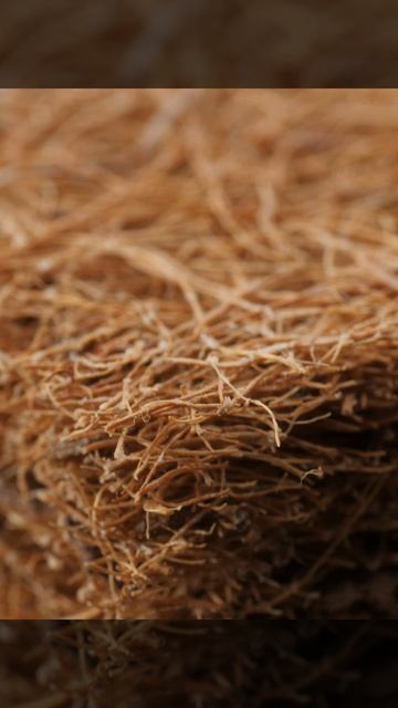 Plitex матрас детский Eco Lat 120х60х12 см смотреть онлайн