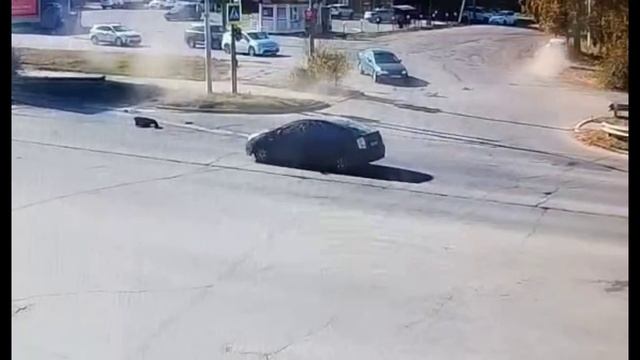 Пять автомобилей пострадали в массовом ДТП на Павла Морозова смотреть онлайн