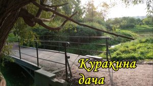 Санкт-Петербург. Парк «Куракина дача». Островок природы на месте княжеской усадьбы. Осенняя прогулка