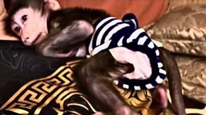 Анфиса цепляется за меня и ничего не дает делать, ее нельзя оставить одну ни на минуту, даже рядом)