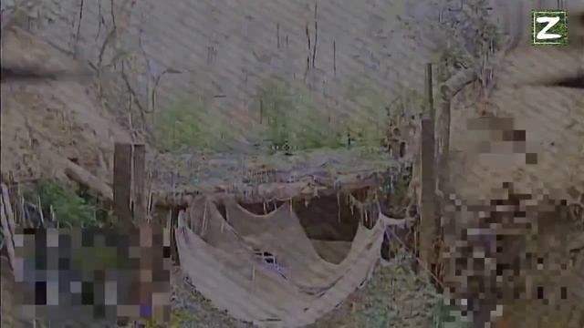 СВО смотреть онлайн