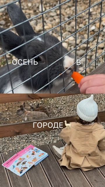 Если ребенок обожает животных, то найдет их везде: и в городе, и в деревне смотреть онлайн