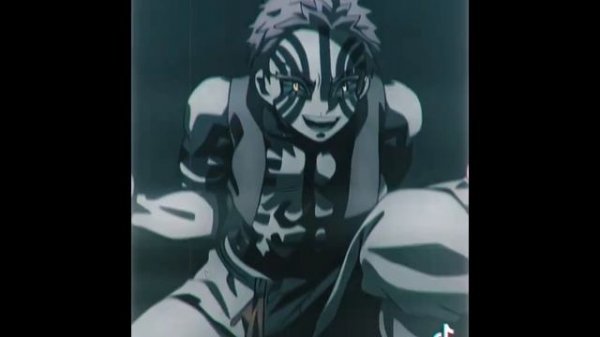 Demon slayer TikTok collection