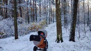 Сосновка сказка НГ 25