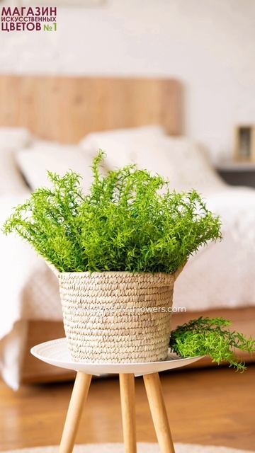 Травка есть?