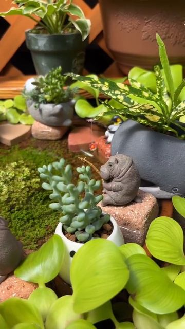 Чудесный сад смотреть онлайн