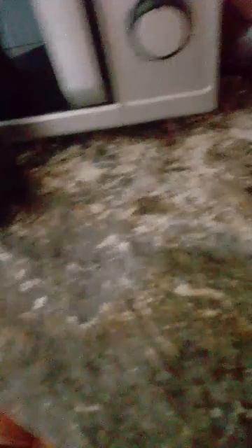 coca cola смотреть онлайн