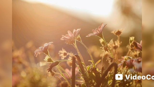 VideoCook_20251014_154459931