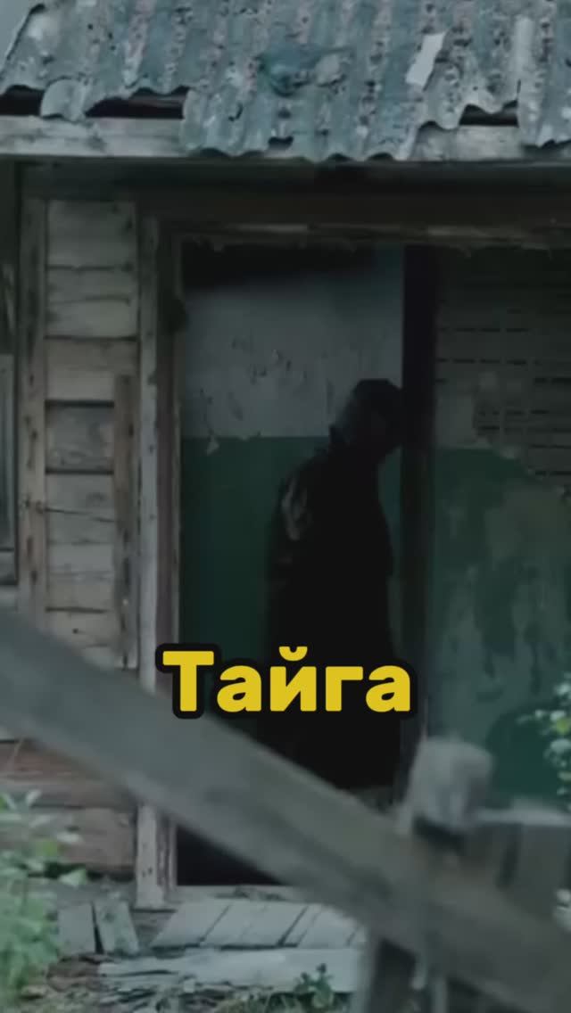 Тайга смотреть онлайн