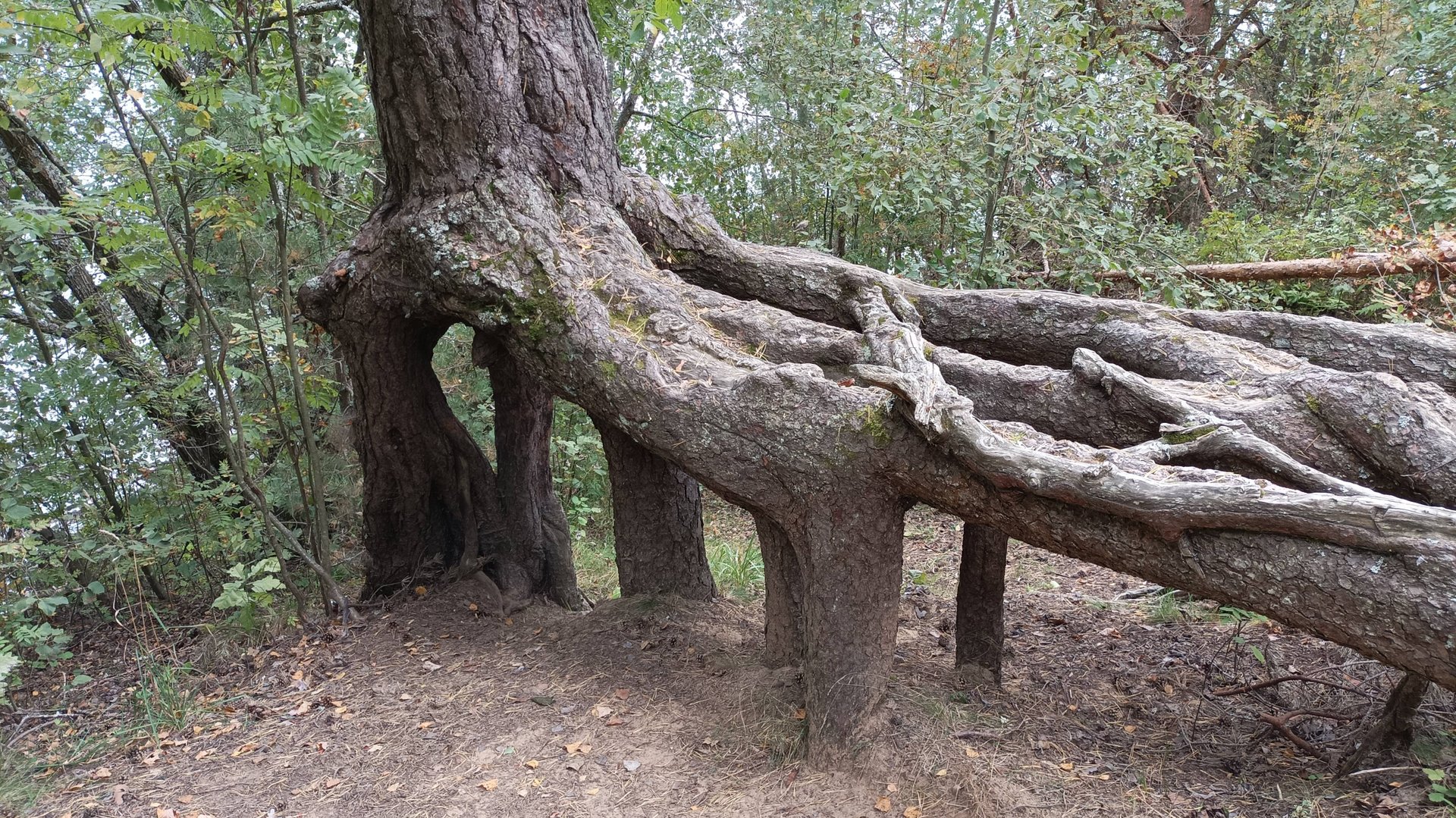 Озеро Хепоярви смотреть онлайн