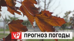 ПРОГНОЗ ПОГОДЫ ПО ВОЛГОГРАДУ И ОБЛАСТИ С 16 ПО 21 ОКТЯБРЯ