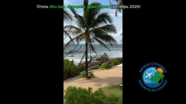 Отель Ahu bay, abungalla. Шри-Ланка Сентябрь 2025г смотреть онлайн
