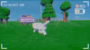 1 день с тремя кошоками