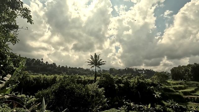 Bali4 0424 смотреть онлайн