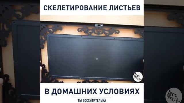 Скелетирование листьев с домашнхи условиях - обучающее видео