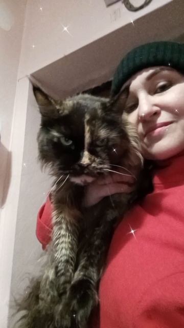 Лиза меня встречает😼😊