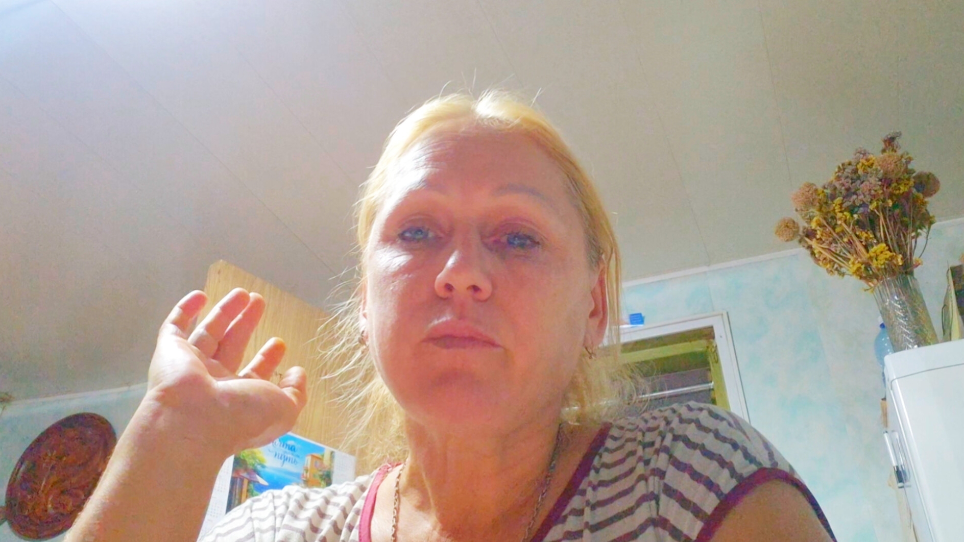 Про нашу жизнь,из города в деревню смотреть онлайн