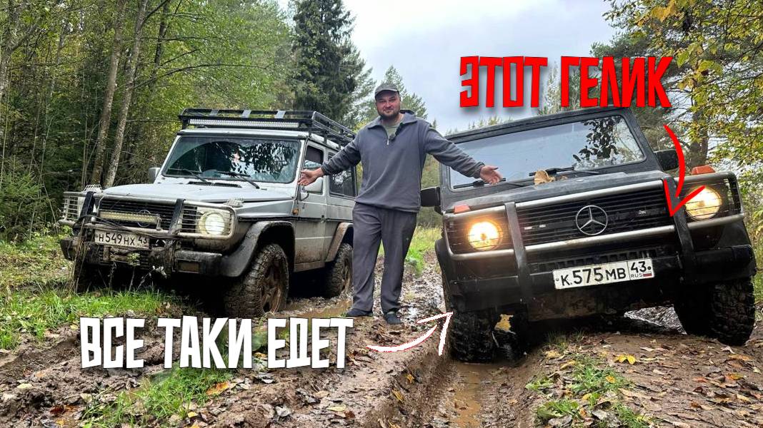 ГЕЛИК ЗА 350 оказался ЖИВЫМ. УСПЕХ НЕИЗБЕЖЕН смотреть онлайн