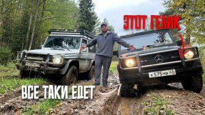 ГЕЛИК ЗА 350 оказался ЖИВЫМ. УСПЕХ НЕИЗБЕЖЕН