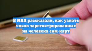 В МВД рассказали, как узнать число зарегистрированных на человека сим-карт