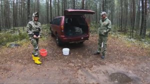 Белый гриб и Боровики. Я , Дима и Света в Сосновом Бору Приозерского района. Прогулка удалась.