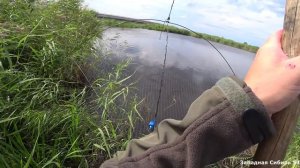 Я не ожидал их там поймать!!! Приехали на разведку и поймали сазанов! Рыбалка на паук подъёмник.