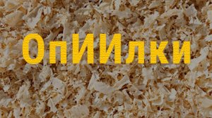 ОпИИлки | Короткометражная комедия 2024