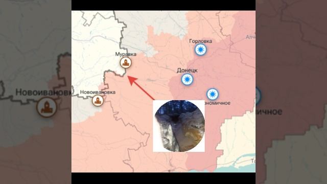 почему нет видео: смотреть онлайн