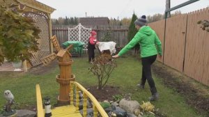 6 соток 8 октября 2025 года. 1 часть. Чеснок сажаю.